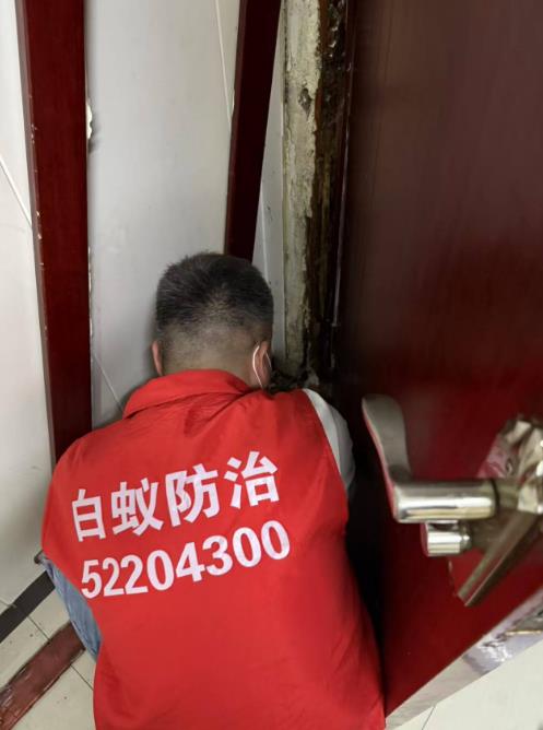 门框的白蚁防治